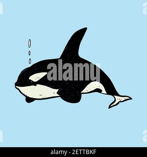 Killer whale (Orca), hand drawn doodle gravure vintage style, sketch, colorful illustration Stock Photo
