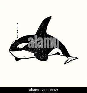Killer whale (Orca), hand drawn doodle gravure vintage style, sketch, outline illustration Stock Photo