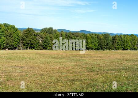 Vacant land with field and trees bordered by a rock wall in the late summer. Stock Photo