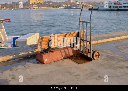 Old style small manuel carrying and carriage made of metal and it is exposed to corrosion and standing and locked near wooden bench Stock Photo