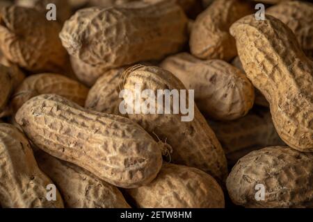 Close-up view of peanut in a shell. Food background. Top view. Stock Photo