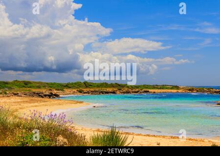 Salento coast: Lido Marini beach, almost sandy and embellished with low cliffs, easy to reach, stretches. Stock Photo