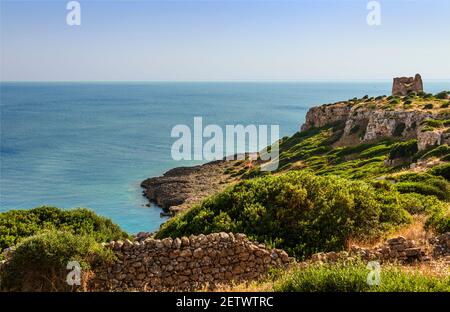 Salento coast: view of Uluzzo Bay with watchtower in Italy, Apulia. Regional Natural Park Porto Selvaggio and Palude del Capitano is rocky and jagged. Stock Photo