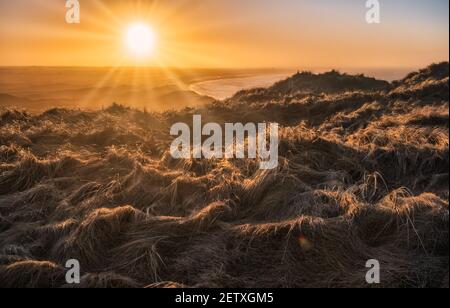 Sunset at the heather near Bulbjerg in north west Denmark Stock Photo
