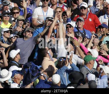 New York Yankees' Aaron Judge points from the dugout during a spring  training baseball workout Monday, Feb. 20, 2023, in Tampa, Fla. (AP  Photo/David J. Phillip Stock Photo - Alamy