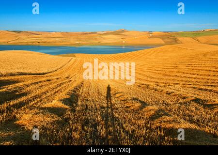 Shadow man on the harvested wheat field. Between Puglia and Basilicata: photographing the landscape. (ITALY) Stock Photo