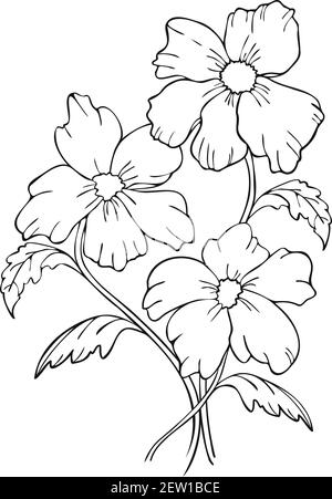Vector illustration bouquet of black and white blooming flowers. Flowers silhouettes design for coloring book. Stock Vector