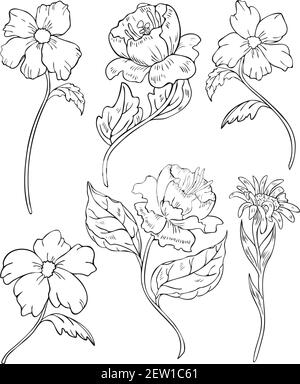 Vector illustration set of black and white blooming flowers. Flowers silhouettes design for coloring book. Stock Vector