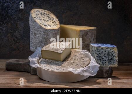 France, Puy de Dome, AOP cheeses from Auvergne, Saint nectaire, fourme d'Ambert, fourme du Cantal and Bleu d'Auvergne Stock Photo