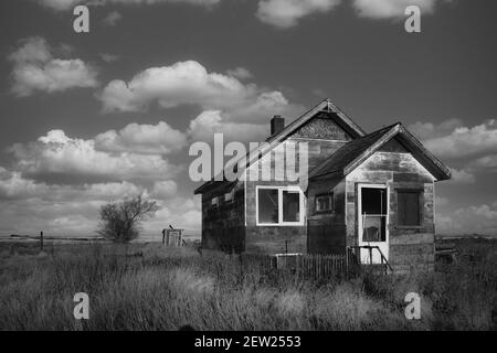 An abandoned farm house in a black and white summer agricultural landscape Stock Photo