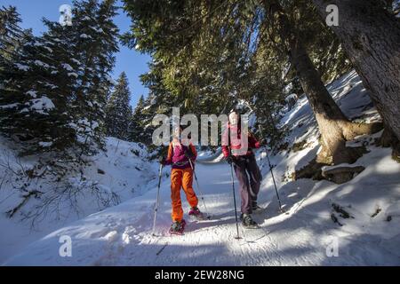 France, Haute Savoie, Mont Blanc massif, Les Contamines Montjoie, two young women hiking with snowshoes in the valley and the Rollaz woods in the nature reserve, Stock Photo