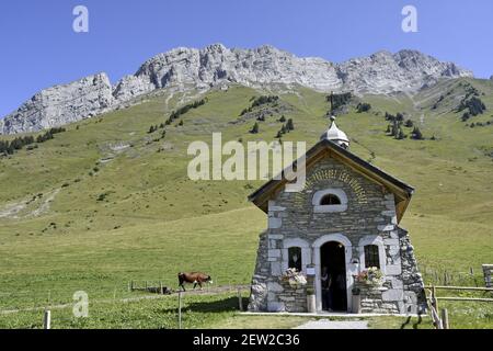 France, Haute Savoie, Col des Aravis, chapel, cows Stock Photo