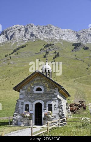 France, Haute Savoie, Col des Aravis, chapel, cows Stock Photo
