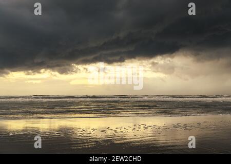 France, Somme, Baie de Somme, Saint-Valery-sur-Somme, The dunes of Marquenterre between Fort-Mahon and the Baie d'Authie at sunset, a thunderstorm arrives by the sea and darkens the horizon Stock Photo