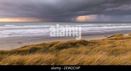 France, Somme, Baie de Somme, Saint-Valery-sur-Somme, The dunes of Marquenterre between Fort-Mahon and the Baie d'Authie at sunset, a thunderstorm arrives by the sea and darkens the horizon Stock Photo