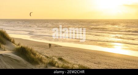 France, Somme, Baie de Somme, Saint-Valery-sur-Somme, The dunes of Marquenterre between Fort-Mahon and the Baie d'Authie at sunset Stock Photo