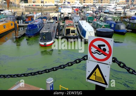 LONDON - 2ND MARCH 2021: The Limehouse Basin in Limehouse. A no swimming sign beside the marina. Stock Photo
