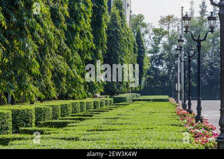 A garden with tiny ornamental plants, beautiful bushes and large pines in front of the building. Stock Photo