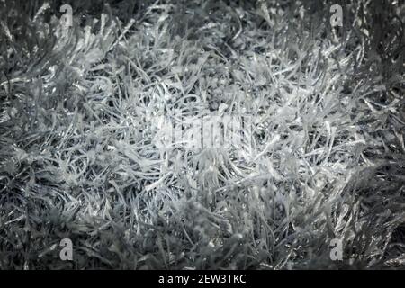 Gray carpet texture used for placing text and illustrations. Stock Photo