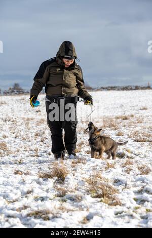 A middle-aged woman trains a German Shepherd puppy in a cold winter landscape. Snow and a cloudy sky in the background Stock Photo