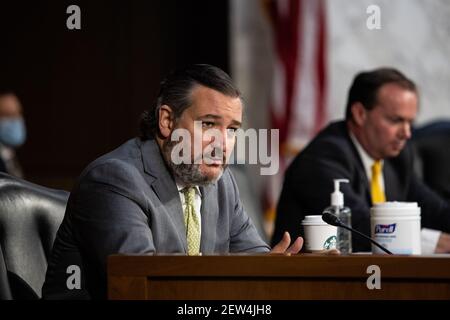 USA. 02nd Mar, 2021. Senator Ted Cruz, R-TX, speaks during a Senate Judiciary Committee hearing in Washington, on the the January 6th Insurrection, domestic terrorism and other threats, Tuesday, March 2, 2021. (Photo by Pool/Sipa USA) Credit: Sipa USA/Alamy Live News Stock Photo
