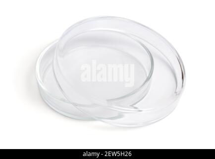 Petri dish or Petri plate, or cell-culture dish. Isolated on white background Stock Photo