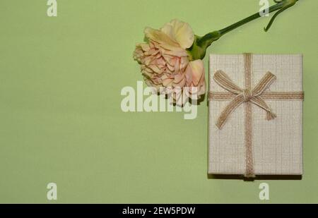carnation flower and gift box on green background with copy space for mother's day. Top view Stock Photo