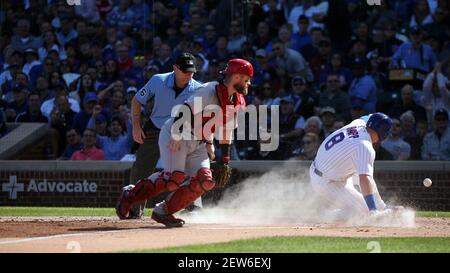 Chicago Cubs catcher Tucker Barnhart, left, celebrates with center fielder  Nelson Velazquez after the Cubs defeated the San Diego Padres 5-2 in a  baseball game in Chicago, Thursday, April 27, 2023. (AP