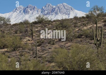 The beautiful Four Peaks wilderness area in the Superstition Range east of Phoenix Arizona looks especially magnificent with a rare snow topping. Stock Photo