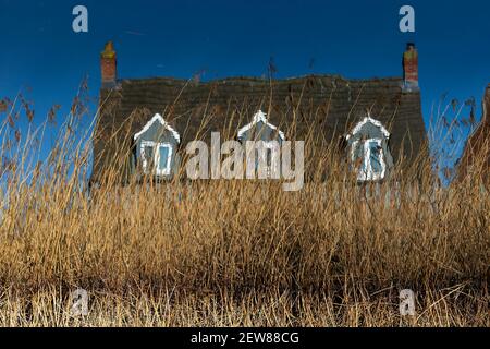 Reflection of a house and reeds in the St Helen's Canal Stock Photo