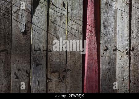 Shabby wooden background. Old wooden fence with rusty nails with single pink board surface Stock Photo