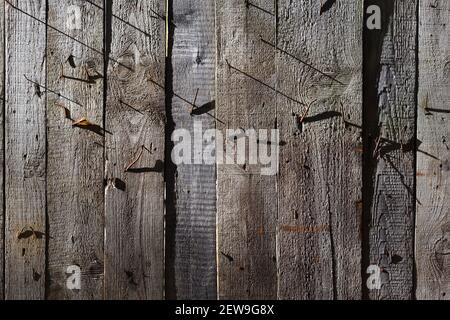 Old wood background. Shabby wooden wall with rusty nails texture front view Stock Photo