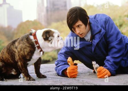 Adam Sandler, 'Little Nicky' (2000) New Line Cinema. Photo Credit: M. Aronowitz/New Line Cinema/The Hollywood Archive -  File Reference # 34082-736THA Stock Photo