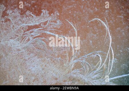 macro image of delicate frost on the window with a colourful background Stock Photo