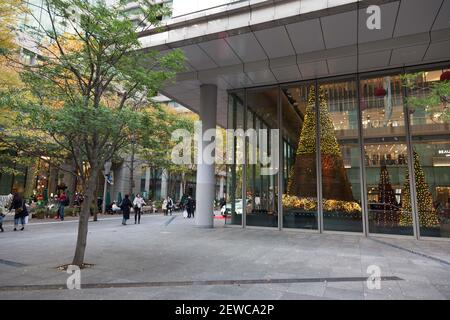 United Arrows' shop window with Christmas trees at the Marunouchi