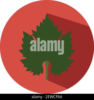 Wine leaf, illustration, vector on white background. Stock Vector