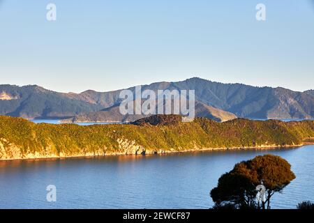 View from the head of the Marlborough Sounds down Queen Charlotte Sound from the nature sanctuary of Motuara Island Stock Photo