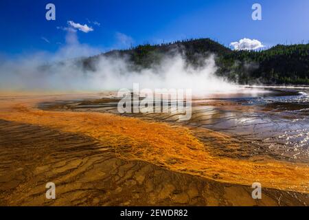 Yellowstone Spring Steam Steam rising off Grand Prismatic Spring, Yellowstone National Park ...