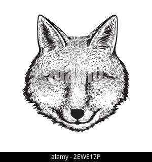 Hand drawn ink portrait of fox in engraving style. Stock Vector