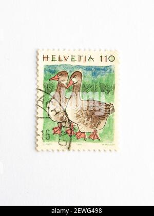 03.03.2021 İstanbul Turkey. Postage Stamp. Helvetia Celestino Piatti-- Ducks and Other Wise Creatures Stock Photo