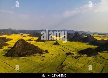 Luoping. 2nd Mar, 2021. Aerial photo taken on March 2, 2021 shows the cole flower fields at a scenic area in Luoping County, southwest China's Yunnan Province. Credit: Wang Guansen/Xinhua/Alamy Live News Stock Photo