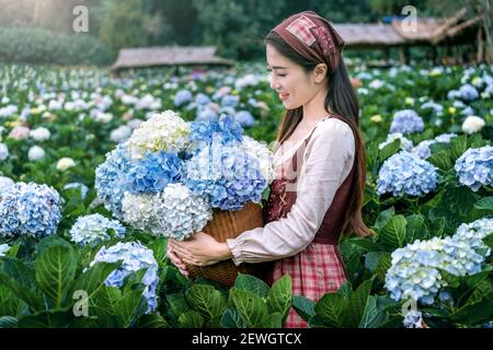 Beautiful girl enjoying blooming blue hydrangeas flowers in garden, Chiang mai, Thailand. Stock Photo