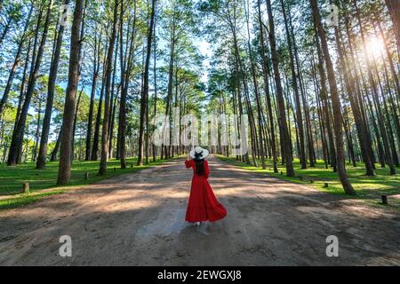 Beautiful girl in red dress walking in pine tree forest or Suan Son Bor Kaew in Chiang mai province, Thailand. Stock Photo