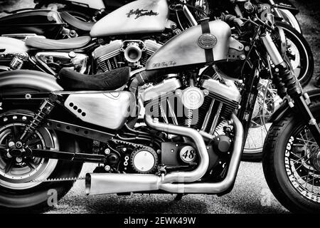 Harley Davidson 48 custom motorcycle. Black and White Stock Photo