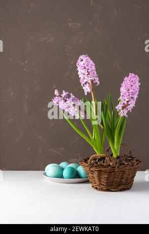 Eggs and bulbs on white background, close up Stock Photo - Alamy