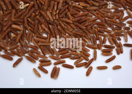 Wild unwanted red rice raised on a white background. Stock Photo