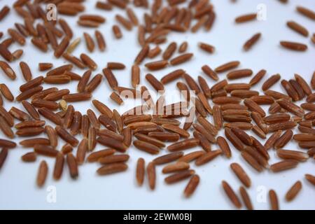 Wild unwanted red rice raised on a white background. Stock Photo