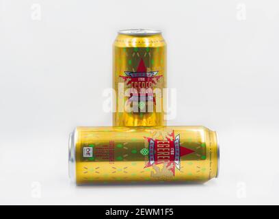 KYIV, UKRAINE - JANUARY 06, 2021: Studio shot of German Egerer lager beer cans closeup against white background. Stock Photo