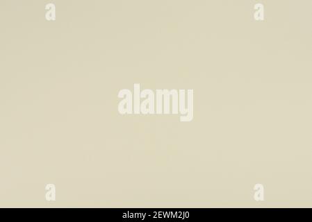 background texture of natural pale yellow flower petals piled loose in heap on a white background viewed from above in soft light stock photo alamy background texture of natural pale yellow flower petals piled loose in heap on a white background viewed from above in soft light stock photo alamy