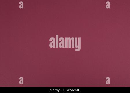 Violet paper background. Hibiscus violet colour paper texture. Matte monochrome surface. Stock Photo